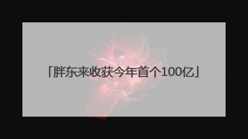 胖东来收获今年首个100亿