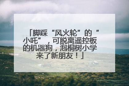 脚踩“风火轮”的“小吒”，可脱离遥控板的机器狗，泡桐树小学来了新朋友！