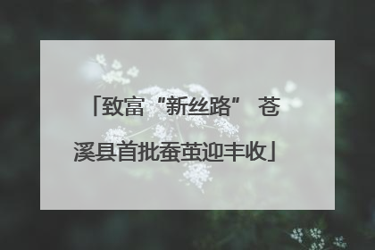 致富“新丝路” 苍溪县首批蚕茧迎丰收