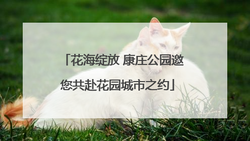 花海绽放 康庄公园邀您共赴花园城市之约