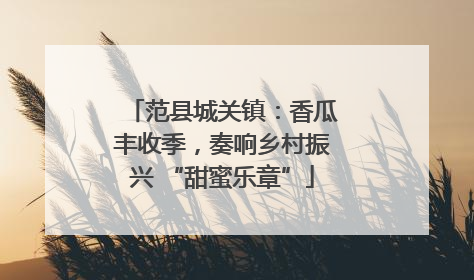 范县城关镇：香瓜丰收季，奏响乡村振兴 “甜蜜乐章”