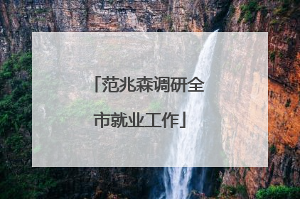 范兆森调研全市就业工作