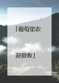 葡萄果农迎夏收