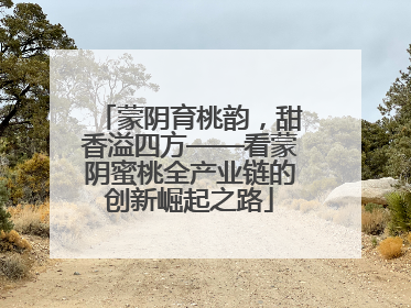 蒙阴育桃韵，甜香溢四方——看蒙阴蜜桃全产业链的创新崛起之路