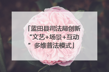 蓝田县司法局创新“文艺+场景+互动”多维普法模式