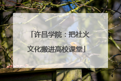 许昌学院：把社火文化搬进高校课堂