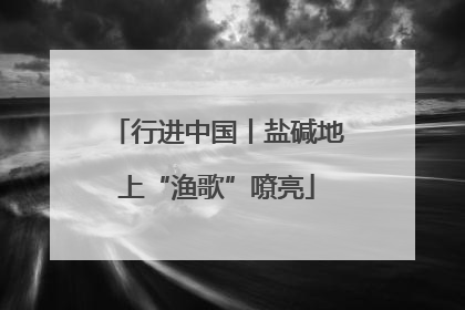 行进中国丨盐碱地上“渔歌”嘹亮