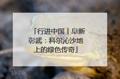 行进中国丨阜新彰武：科尔沁沙地上的绿色传奇
