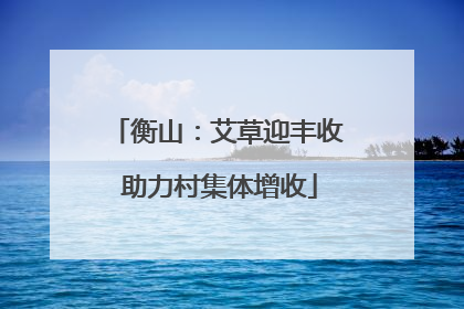 衡山：艾草迎丰收 助力村集体增收