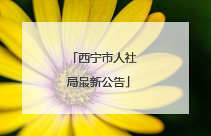 西宁市人社局最新公告