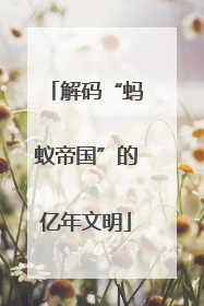 解码“蚂蚁帝国”的亿年文明