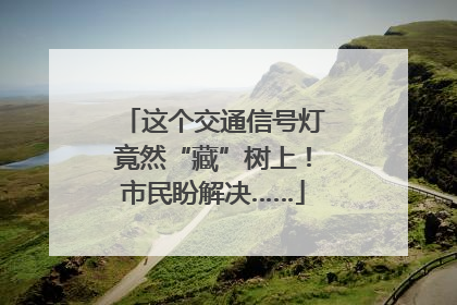 这个交通信号灯竟然“藏”树上！市民盼解决……
