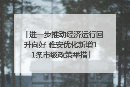 进一步推动经济运行回升向好 雅安优化新增11条市级政策举措