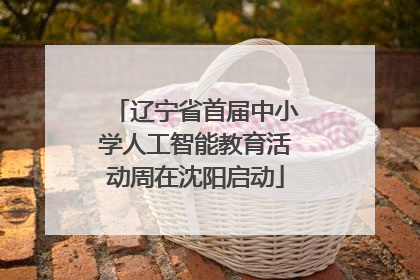 辽宁省首届中小学人工智能教育活动周在沈阳启动