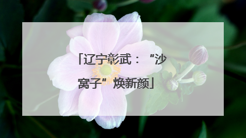 辽宁彰武：“沙窝子”焕新颜