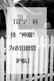 辽宁：科技“神器”为农田夏管护航