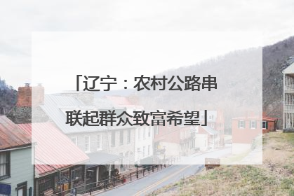 辽宁：农村公路串联起群众致富希望