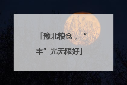 豫北粮仓，“丰”光无限好