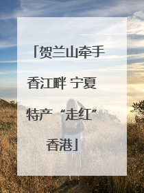 贺兰山牵手香江畔 宁夏特产“走红”香港