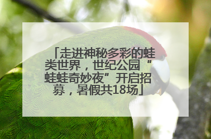走进神秘多彩的蛙类世界，世纪公园“蛙蛙奇妙夜”开启招募，暑假共18场
