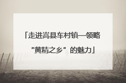走进嵩县车村镇—领略“黄精之乡”的魅力