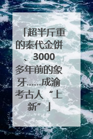 超半斤重的秦代金饼、3000多年前的象牙……成渝考古人“上新”