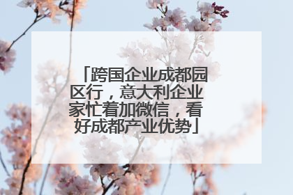跨国企业成都园区行，意大利企业家忙着加微信，看好成都产业优势