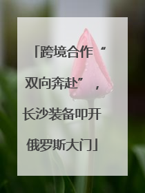 跨境合作“双向奔赴”，长沙装备叩开俄罗斯大门