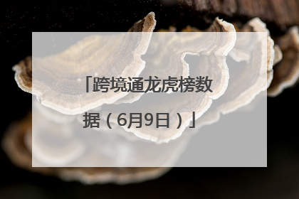 跨境通龙虎榜数据（6月9日）