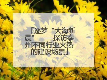 逐梦“大海新晨”——探访泰州不同行业火热的建设场景