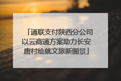 通联支付陕西分公司以云商通方案助力长安唐村绘就文旅新图景
