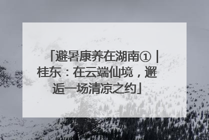 避暑康养在湖南①｜桂东：在云端仙境，邂逅一场清凉之约