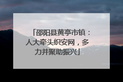 邵阳县黄亭市镇：人大牵头织安网，多力并聚助振兴