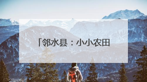 邻水县：小小农田“豆”趣横生 莘莘学童劳动添能