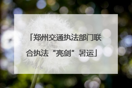郑州交通执法部门联合执法“亮剑”暑运