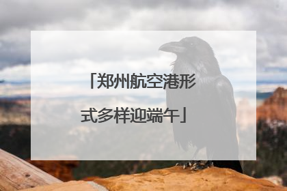 郑州航空港形式多样迎端午