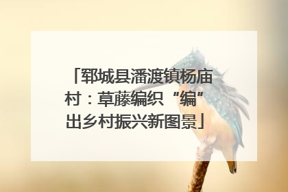 郓城县潘渡镇杨庙村：草藤编织“编”出乡村振兴新图景