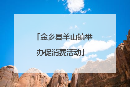 金乡县羊山镇举办促消费活动