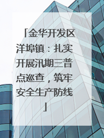 金华开发区洋埠镇：扎实开展汛期三普点巡查，筑牢安全生产防线