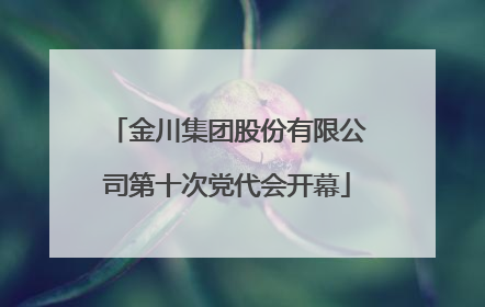 金川集团股份有限公司第十次党代会开幕