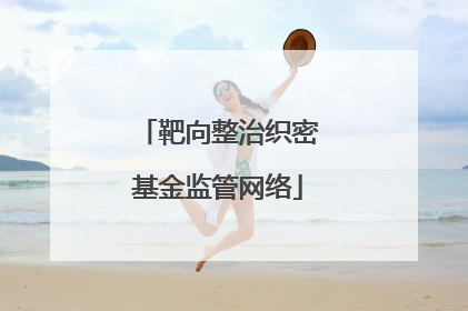 靶向整治织密基金监管网络
