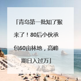 青岛第一批知了猴来了！80后小伙承包60亩林地，高峰期日入过万