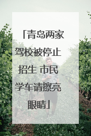 青岛两家驾校被停止招生 市民学车请擦亮眼睛
