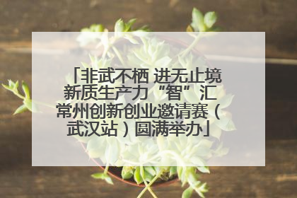 非武不栖 进无止境 新质生产力“智”汇常州创新创业邀请赛（武汉站）圆满举办