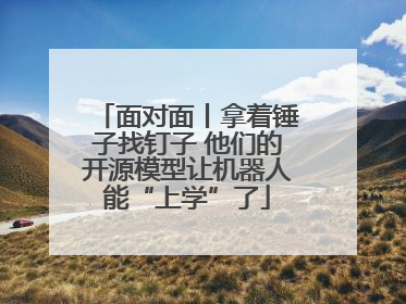 面对面丨拿着锤子找钉子 他们的开源模型让机器人能“上学”了