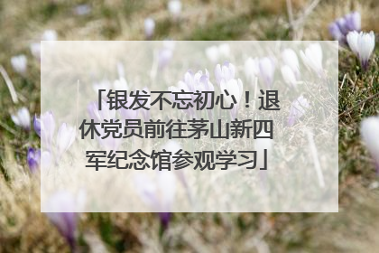 银发不忘初心！退休党员前往茅山新四军纪念馆参观学习