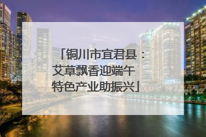 铜川市宜君县：艾草飘香迎端午 特色产业助振兴