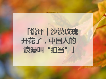 锐评｜沙漠玫瑰开花了，中国人的浪漫叫“担当”