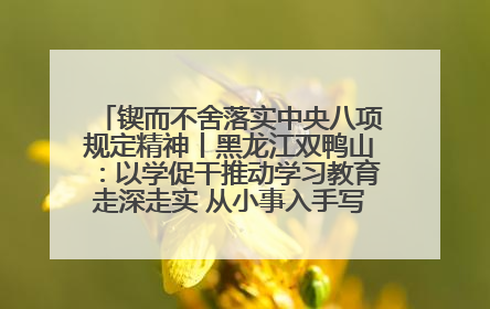 锲而不舍落实中央八项规定精神丨黑龙江双鸭山：以学促干推动学习教育走深走实 从小事入手写好“民生答卷”