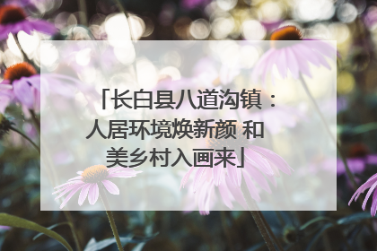 长白县八道沟镇：人居环境焕新颜 和美乡村入画来